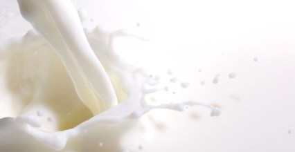 Tout savoir pour une pasteurisation réussie !